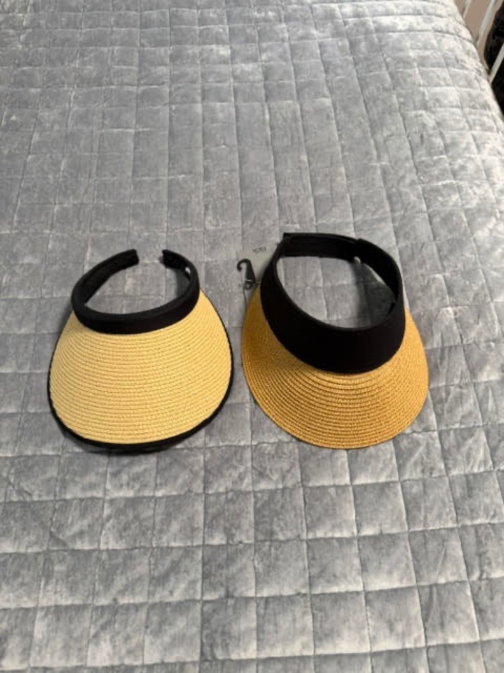 Visors